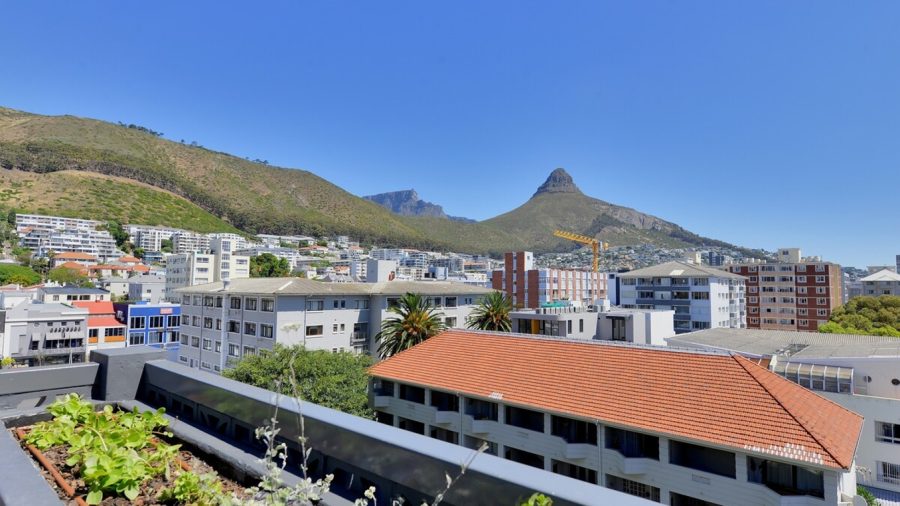 Lions Head from the Roof