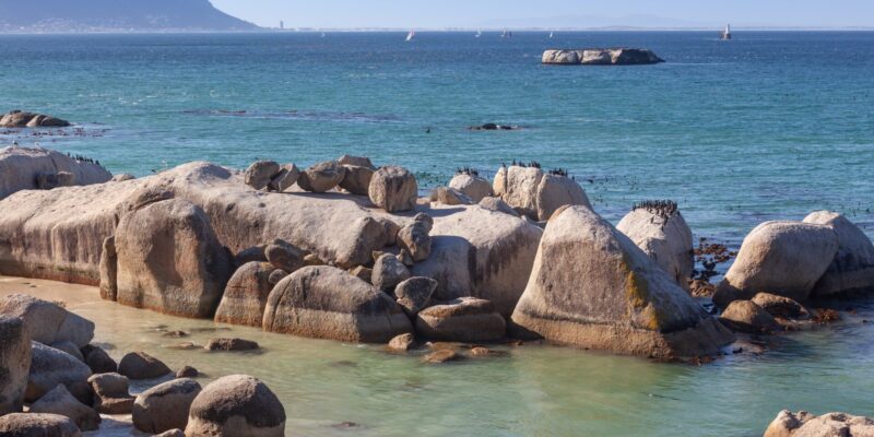 Boulders Beach near Cape Town